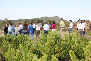 Bodega de Liédena