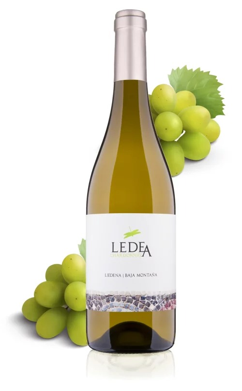 LEDEA-BLANCO-CHARDONNAY