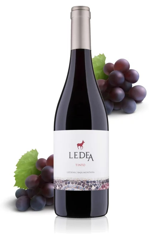 LEDEA-TINTO-GARNACHA-2